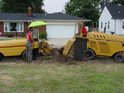 ./Gallery/2011 Bennet Lot Tree Removal/DSC06473.JPG